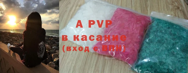 индика Аркадак