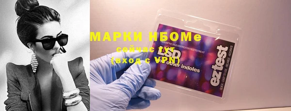 индика Аркадак