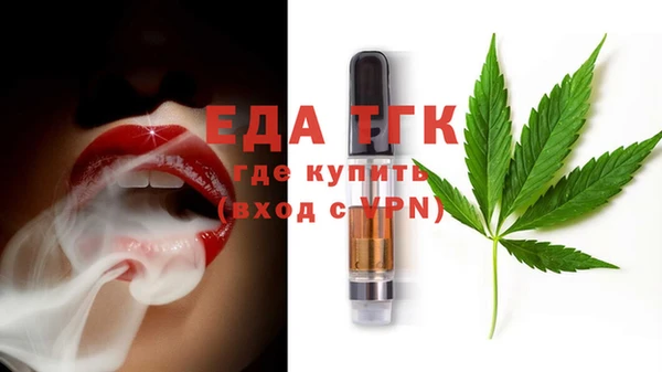 индика Аркадак