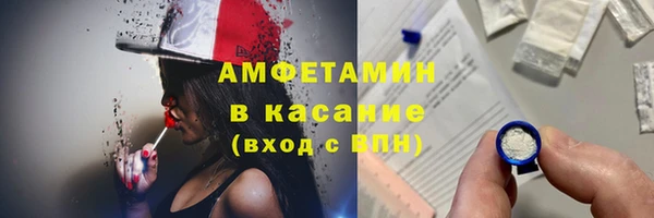 индика Аркадак