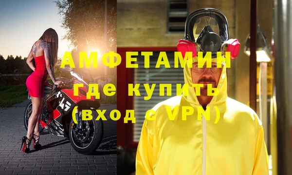 индика Аркадак