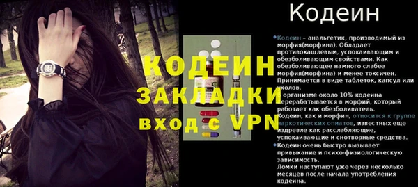 индика Аркадак