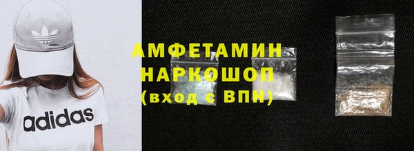 индика Аркадак