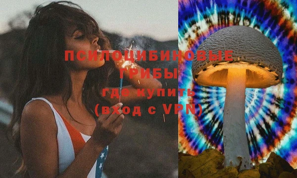 индика Аркадак