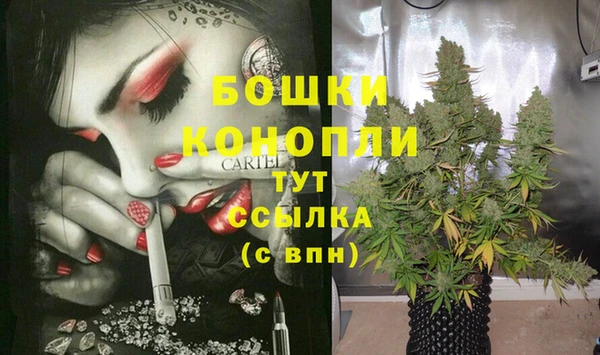 дмт Мегион
