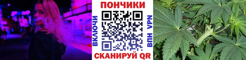 Бошки марихуана индика  Спасск 